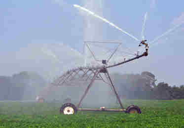 Remote irrigation control